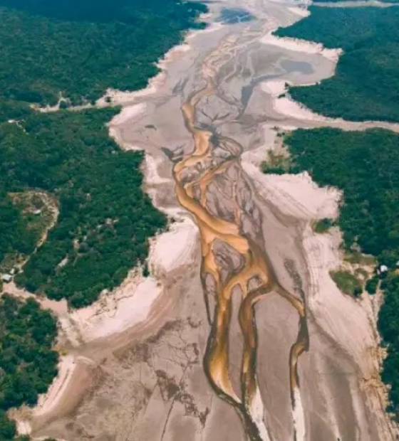 Seca na floresta: rios da Bacia Amazônica vão atingir níveis históricos