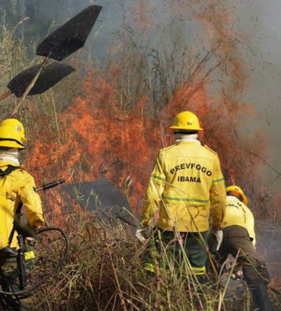 STF libera orçamento emergencial para combate de incêndios 