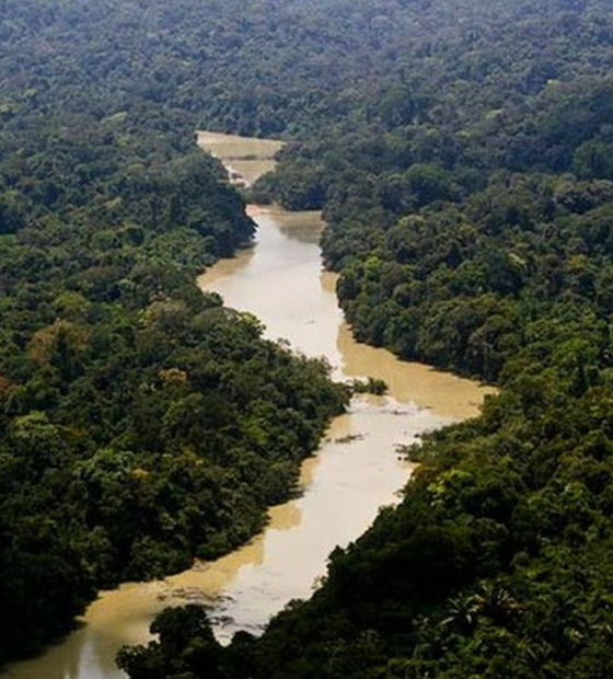 AGU pede à Justiça reparação por danos climáticos na Amazônia 