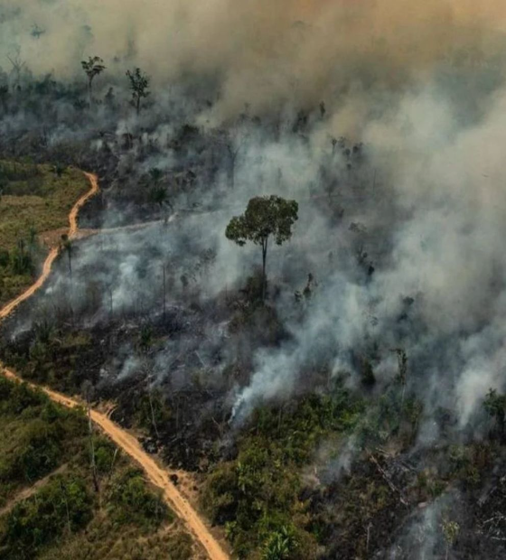 Megaincêndios aproximam a Amazônia de um colapso