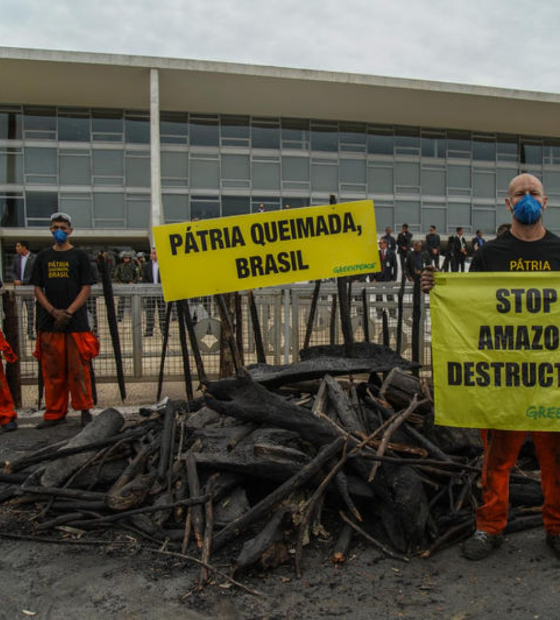 3 milhões de hectares de mata nativa viram cinza. Quem paga?  