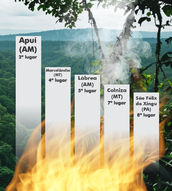 Desmatadores se elegem em cidades no topo do ranking do desmatamento. 