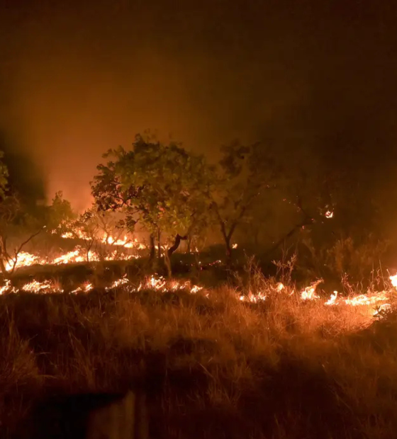 Amazônia registra maior pico de incêndios do século 