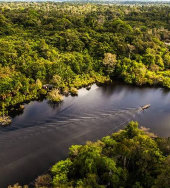 Outro lado: lideranças indígenas e quilombolas criticam exploração na Margem Equatorial.