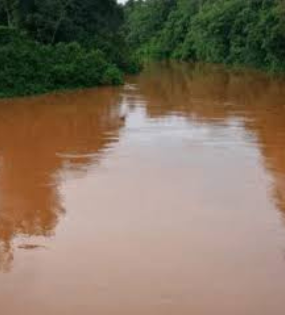 Barragem de garimpos rompe e dois rios da Amazônia são gravemente poluídos 