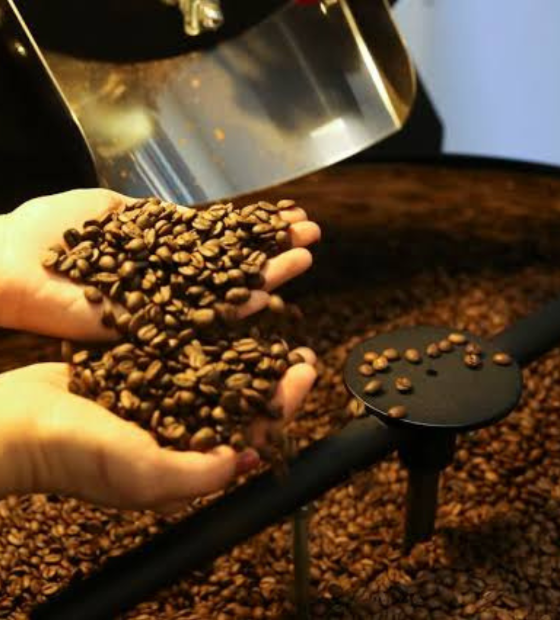 Aumento no preço do café resulta em diminuição do consumo, aponta estudo