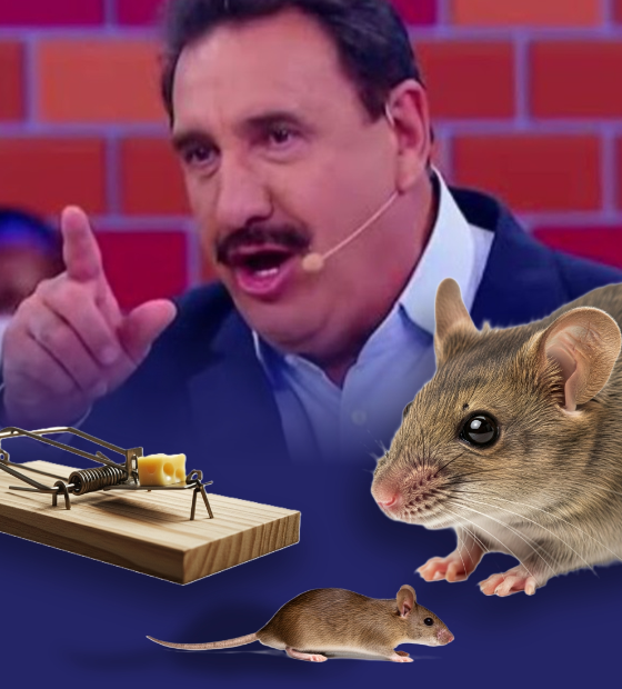 As redes sociais deram voz a legiões de... Ratinhos