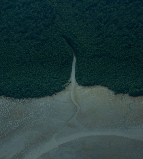 Fila de solicitações: Ibama alerta sobre análises na exploração em toda margem equatorial.