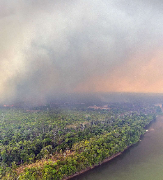 Estudo afirma que chuvas na Amazônia aumentaram em 20 por cento nos últimos 30 anos