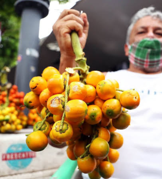 COP30 é a primeira a ter alimentos de agricultura familiar no cardápio