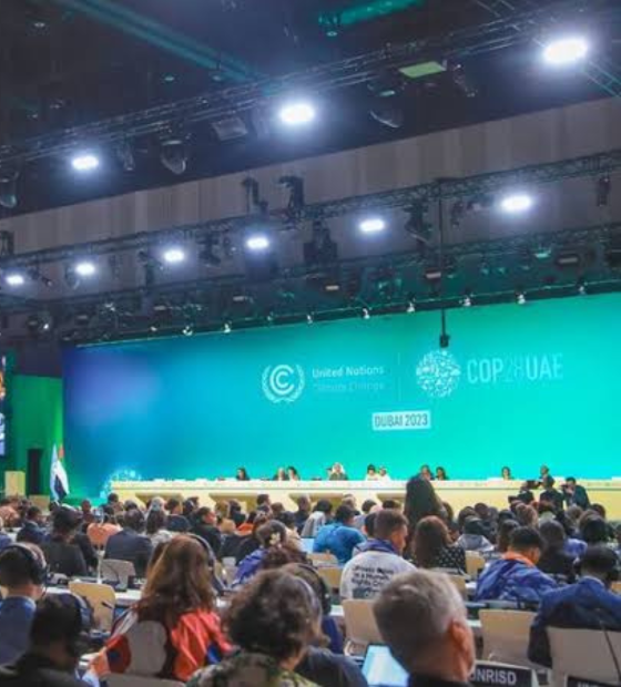 COP30 terá protagonismo da sociedade e menos foco nas negociações, dizem especialistas