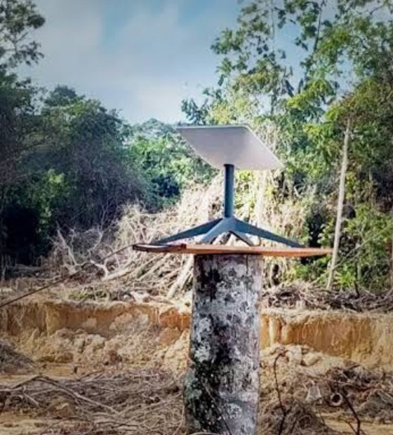 MPF e Starlink fazem parceria para bloquear internet em garimpos ilegais