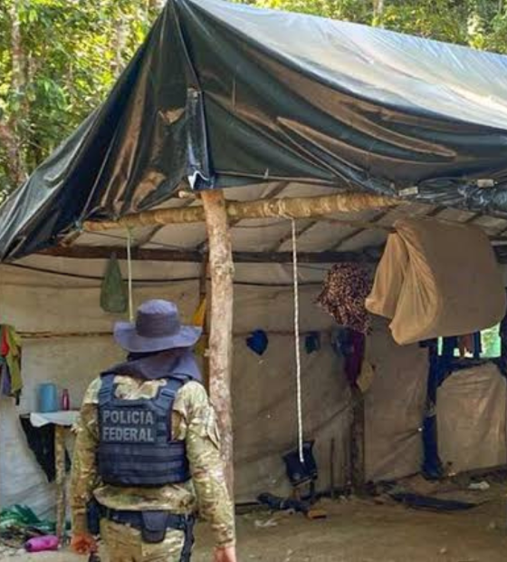 Ibama aplica multa milionária por desmatamento equivalente a 26 mil campos de futebol na Amazônia 