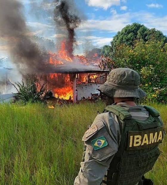 Facções apostam em crimes ambientais como nova frente de negócio 