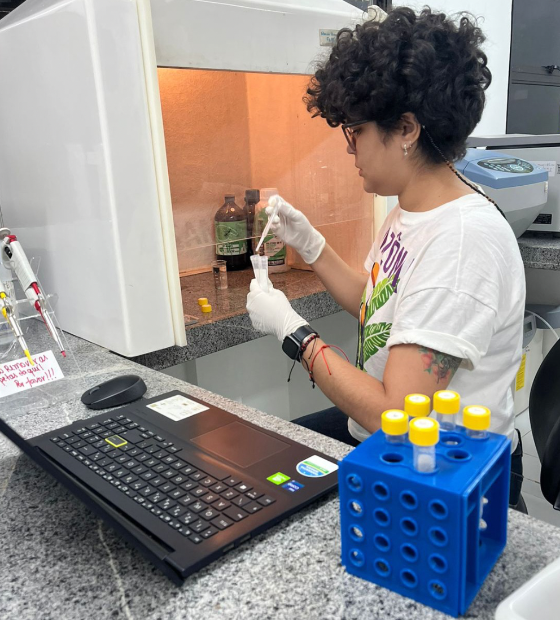 Igarapés amazônicos ameaçados? Estudo afirma que sim