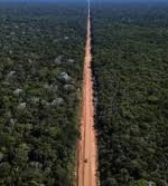 Ministérios do Transporte e Meio Ambiente decidem pavimentar a BR-319