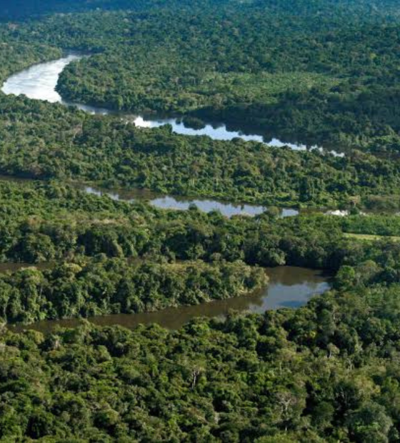 O que acontece agora com a lei de licenciamento ambiental?