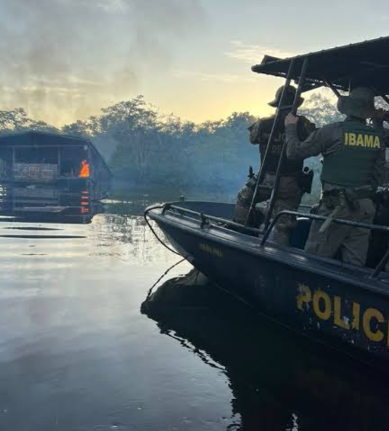 Amazônia se tornou um centro global de tráfico de drogas 