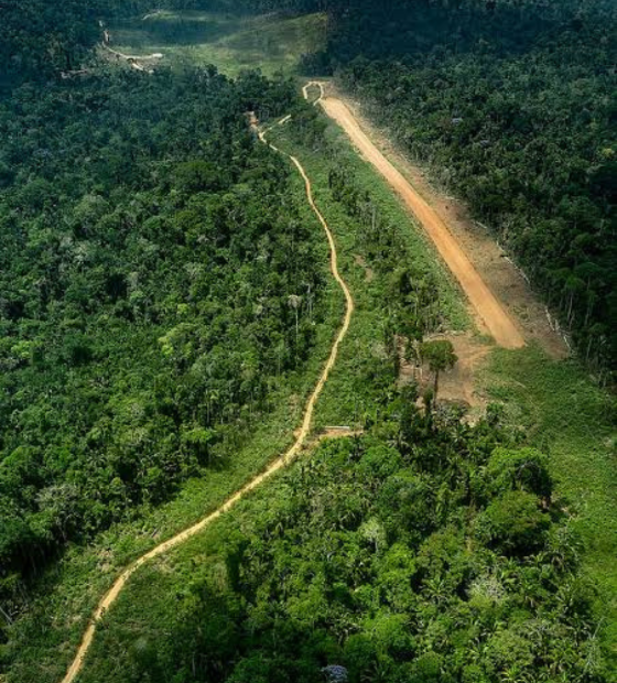 Indígenas buscam proteção à comunidades que vivem isoladas no Pará