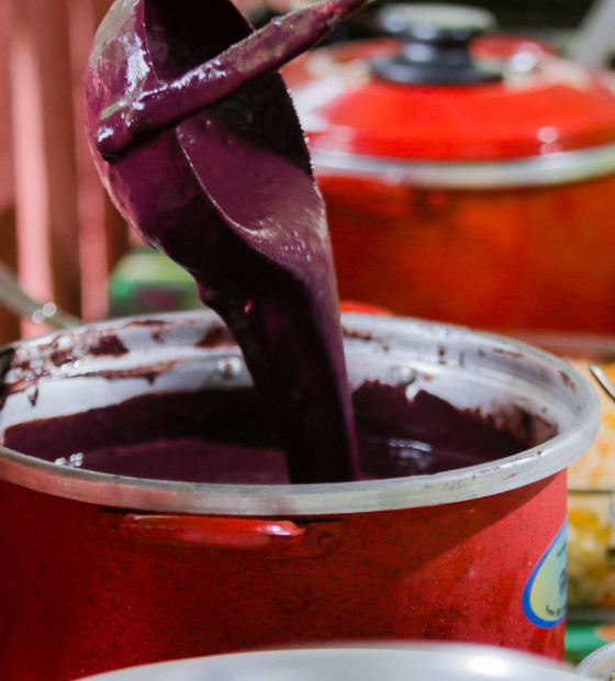 Tarifaço de Trump pode aumentar o preço do açaí nos EUA, principal destino de exportação da fruta