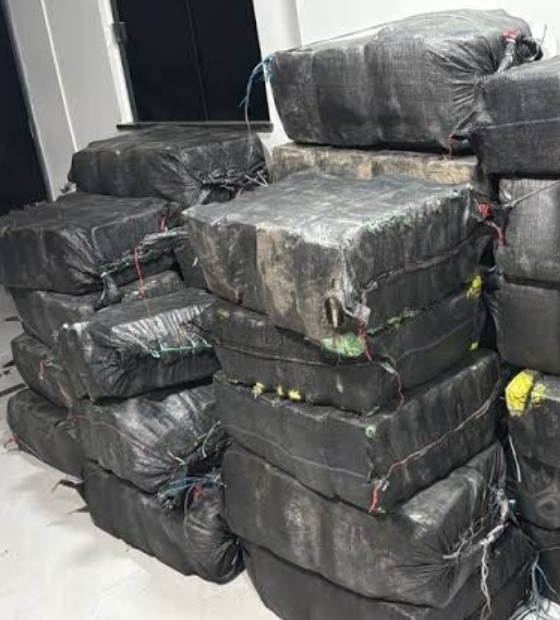 Tráfico internacional na Amazônia: 1,5 tonelada de droga é apreendida em rabeta. 