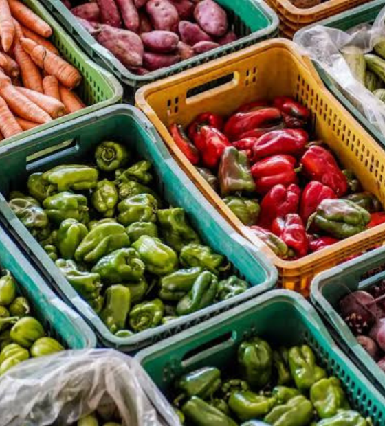 Após três anos, Brasil sai do Mapa da Fome da ONU