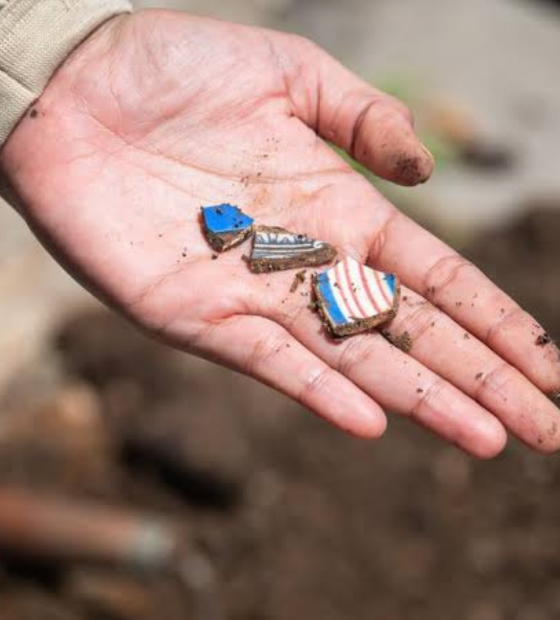 Objetos arqueológicos indígenas são encontrados nas obras da COP, em Belém 