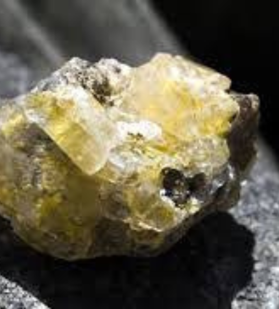 41 territórios protegidos da Amazônia estão ameaçados por mineração de terras raras