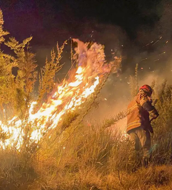 Brasil registra em julho menor área de queimada em sete anos 