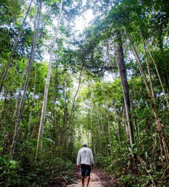 Estudo mostra que bioeconomia pode movimentar mais de 38 bilhões de reais na Amazônia até 2050