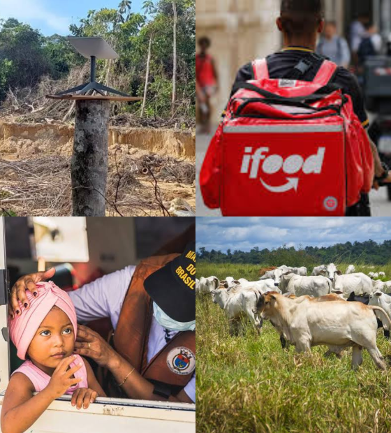Giro d’O Amazônico: MPF investiga Starlink. Apps de delivery entram em disputa. Escalpelamento no Pará e JBS autuada pelo Ibama.