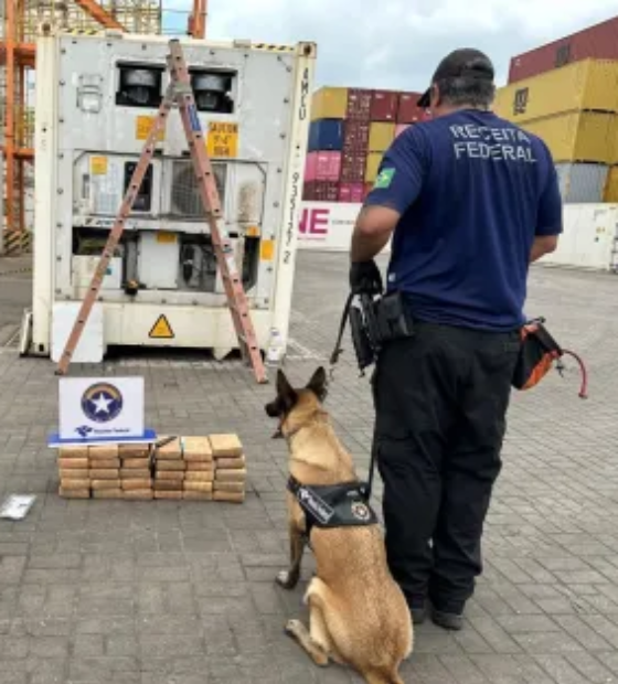 PF apreende 30 kg de de cocaína em contêiner de açaí em Barcarena
