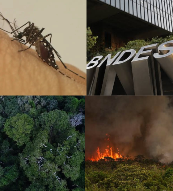 Giro O Amazônico: aquecimento global pode proliferar Aedes aegypti, BNDES abre edital para recuperação florestal e qualidade do ar na Amazônia afeta o mundo todo.