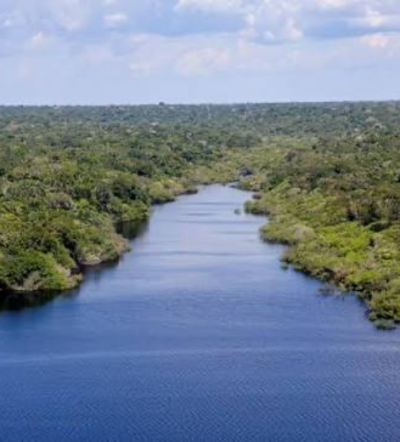 Amazônia perdeu 52 milhões de hectares de vegetação em 40 anos