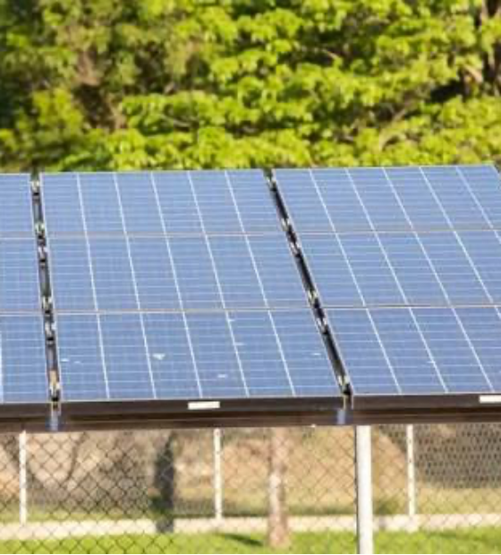 Prefeitura de Belém firma acordo para instalação de placas solares em unidades de saúde e escolas da cidade 