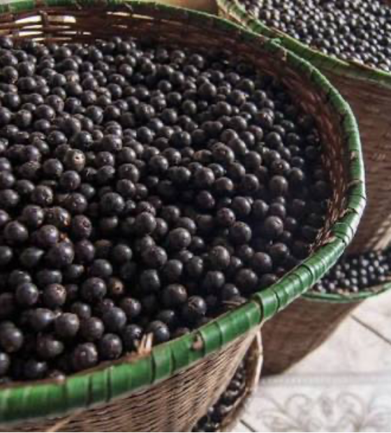 Café de açaí? Nova bebida de origem amazônica ganha o Brasil e o mundo