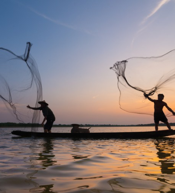 Fraude no seguro defeso: estudo mostra desvio de 9 bilhões de reais entre 2013 e 2024