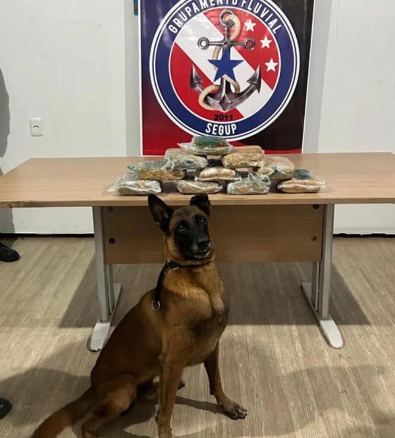 11 kg de drogas são encontradas por cães farejadores no Marajó 