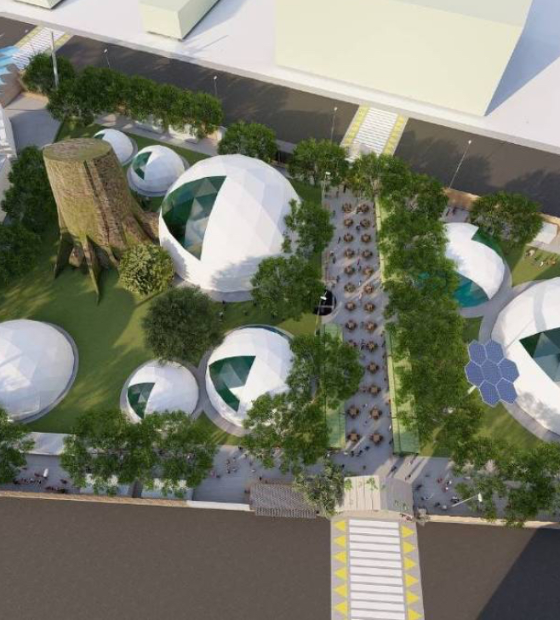 Freezone irá receber crianças e adolescentes em atividade paralela da COP30