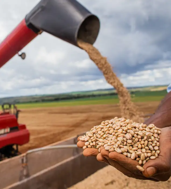 Cade mantém acordo que proíbe compra de soja de áreas de desmatamento até final do ano