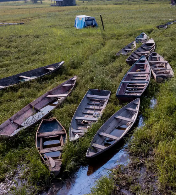 Estudo aponta rápida e alarmante transformação climática na Amazônia 