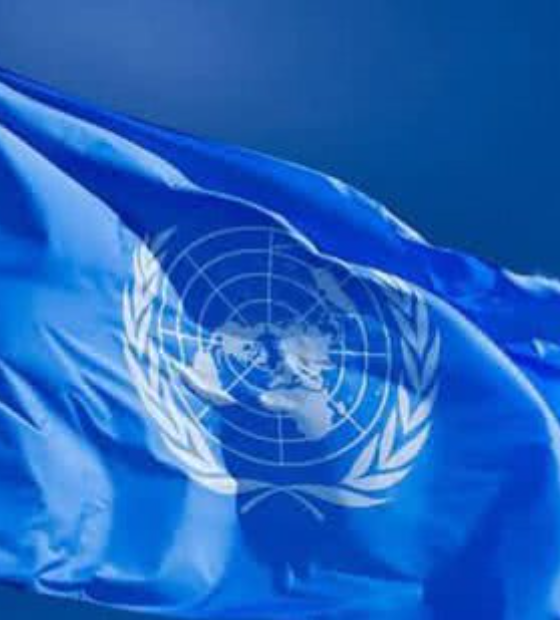  Diária paga pela ONU em COPs anteriores superava a de Belém