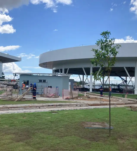 Sua Casa COP30 Sustentável terá casas construídas a partir de caroços de açaí 