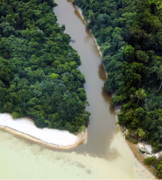 Pará é protagonista nacional na redução de emissões e no fortalecimento da bioeconomia 