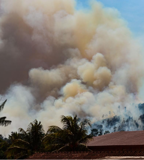 Pará reduz em 85 por cento os focos de queimada entre julho e setembro de 2025