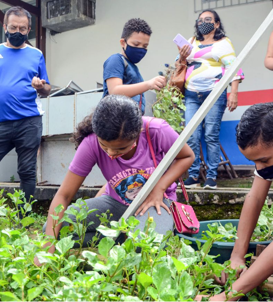 Pará é destaque no ensino sobre clima e meio ambiente na educação básica