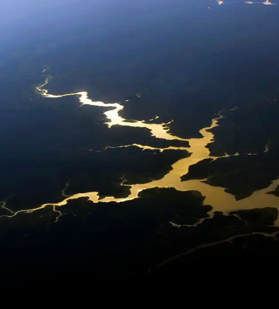 Desmatamento ameaça a captura de carbono na Amazônia 