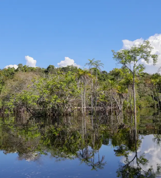 Marinha e Petrobras firmam acordo para reforçar segurança nos rios da Amazônia 