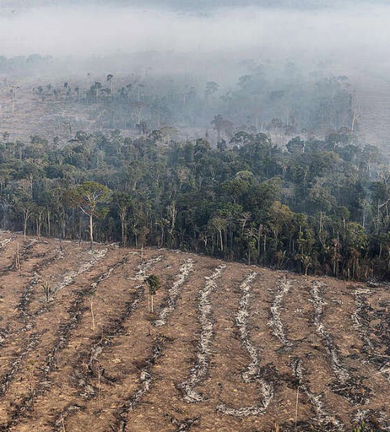 Taxa de desmatamento na Amazônia atinge terceiro menor patamar da história 