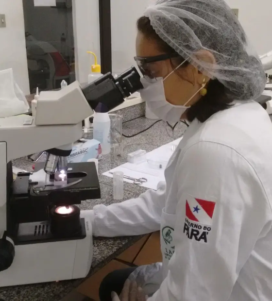 Abaetetuba se destaca nacionalmente no diagnóstico e combate da doença de Chagas